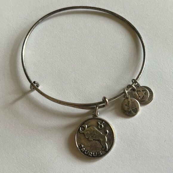 Alex and Ani Taurus Charm Rafaelian Silver Bangle Bracelet - Picture 11 of 15